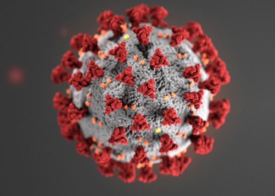코로나19 바이러스 구조를 이미지로 형상화. 이미지=미국 질병통제예방센터(CDC)