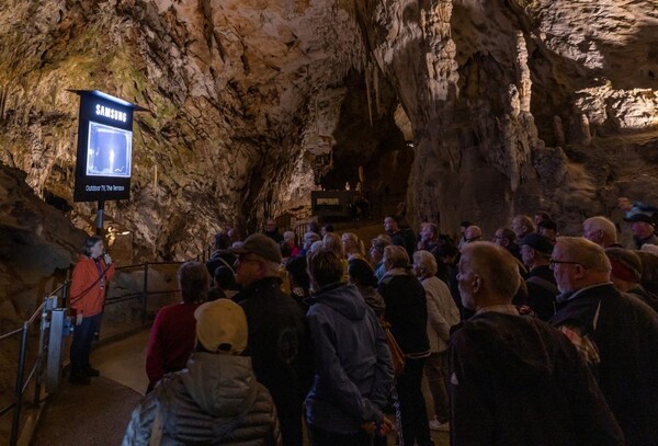 삼성전자가 연간 100만명 이상이 방문하는 슬로베니아 포스토이나 동굴에 아웃도어용 라이프스타일TV ‘더 테라스’를 설치해, 관람객들이 동굴에 서식하는 희귀 동물 ‘올름’을 더욱 생생하게 관찰할 수 있도록 했다.사진=삼성전자