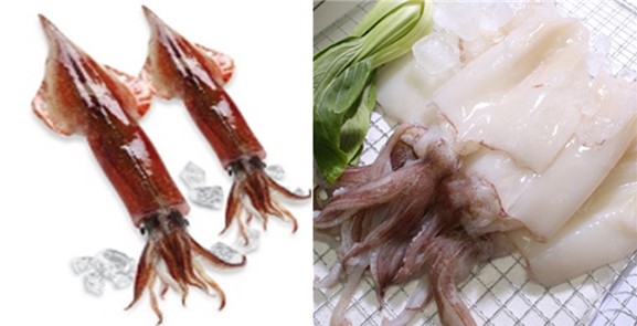 [오징어 vs 한치 분석] 단백질 타우린 풍부...치매 예방 등 어떤 효능 있나