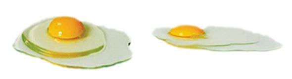 품질이 좋은 달걀(왼쪽)과 품질이 떨어지는 달걀=식약처
