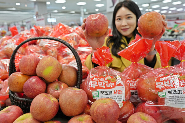 롯데마트 제타플렉스 서울역점에서 우박 맞은 보조개 사과를 반값에 판매하고 있다. 사진=롯데마트
