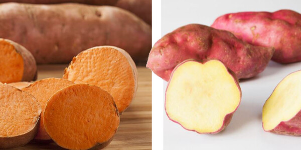 호박고구마 vs 밤고구마] 맛·영양 큰 차이 ...내가 좋아하는 고구마 효능은? < 과일·채소 < 성분비교분석 < 기사본문 - 소셜타임스