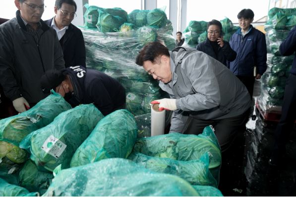 오영훈 제주도지사가 지난 14일 전국 생산량의 60%를 차지하는 양배추 출하 상황을 점검하고 있다. 사진=제주도