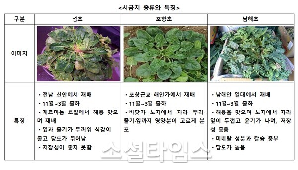 사진=한국농수산식품유통공사