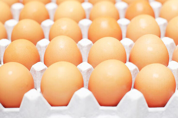 정부가 치솟는 달걀값 안정을 위해 공급량을 늘리고 30%할인된 가격에 공급하기로 했다. 사진=농촌진흥청