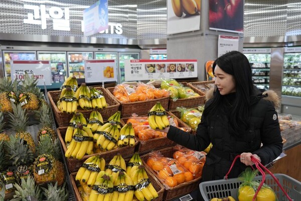 롯데마트는 오는 25∼31일 수입 과일을 최대 20% 할인한 가격에 판매한다. 사진=롯데마트