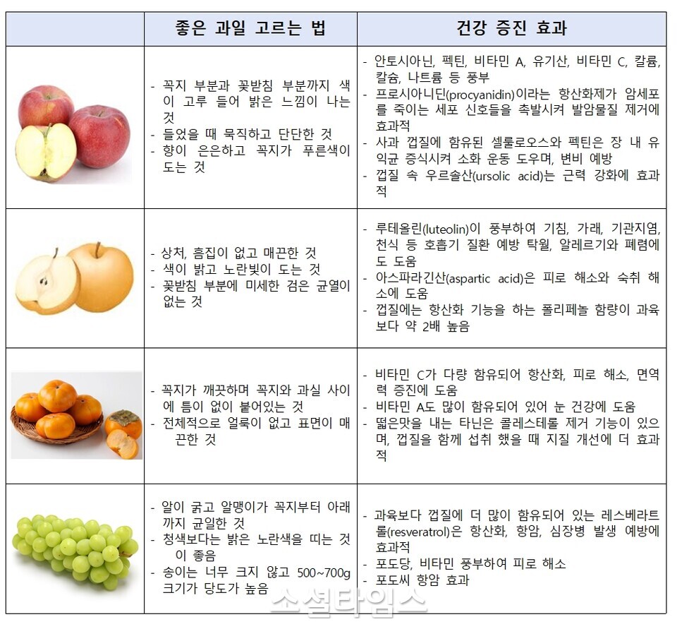 과일명절선물 건강과 풍요로움을 선사하는 특별한 선물 아이디어