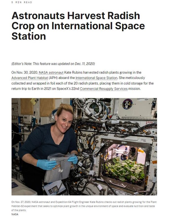 2020년 11월 27일, NASA 우주비행사이자 익스페디션 64 비행 엔지니어인 케이트 루빈스는 국제우주정거장 내 식물재배장치(Plant Habitat-02)에서 실험을 위해 자라는 무를 확인하고 있다. 사진=NASA 홈페이지