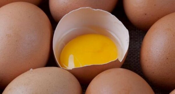 달걀 사진=식품의약품안전처