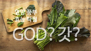 [갓 분석] '청갓 vs 홍갓' 김치·양념 재료용 따로 있다? 갓 아토피 개선 등 효능은 