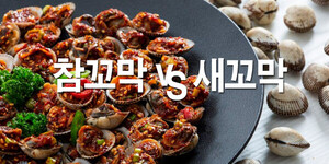[꼬막 분석] 빈혈·저혈압에 특효···'참꼬막 vs 새꼬막' 어느 게 더 맛있고 영양 많을까